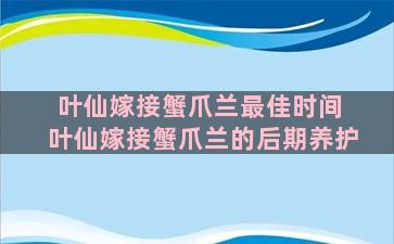 叶仙嫁接蟹爪兰最佳时间 叶仙嫁接蟹爪兰的后期养护